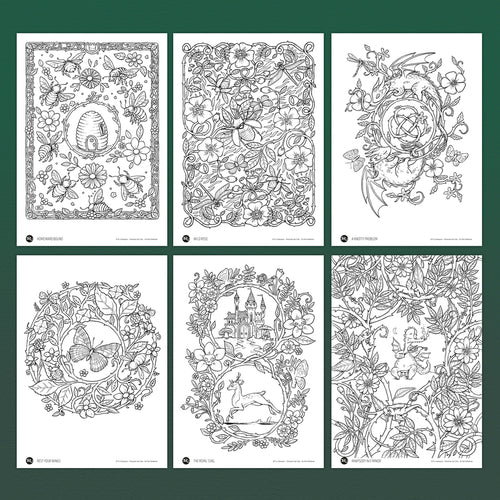 Bees, Briars and Brambles - 6 Pack
